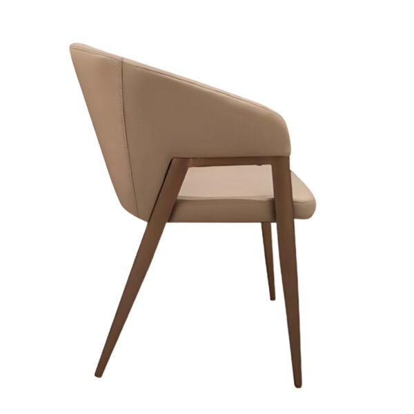 CIANA DINING CHAIR