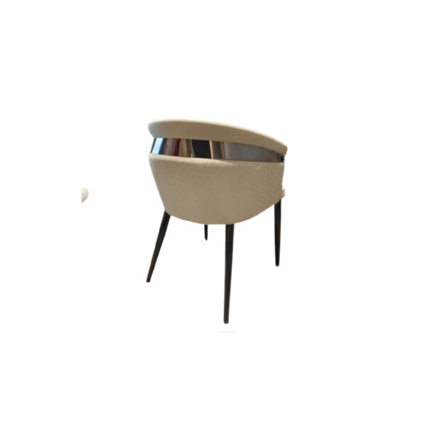 SHINY DINING CHAIR