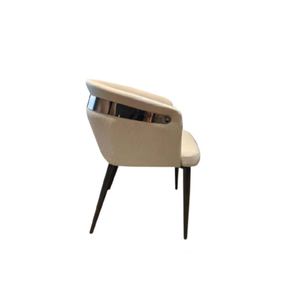 SHINY DINING CHAIR