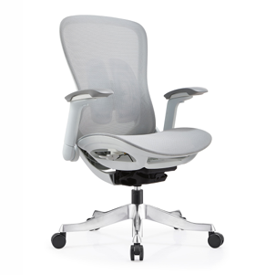 ROOSTER MB GREY (WITHOUT FOOTREST)  (IMP)